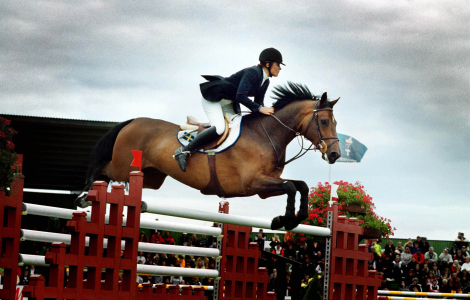 Över 60 000 besökare såg bl a Lisen Bratt vid Falsterbo Horse Show. Lisen Bratt. Foto: Jessica Gow, SDS/Scanpix